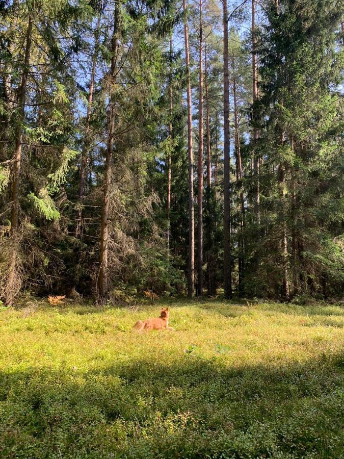 Pokoje Nadrzeczna Augustow Bagian luar foto